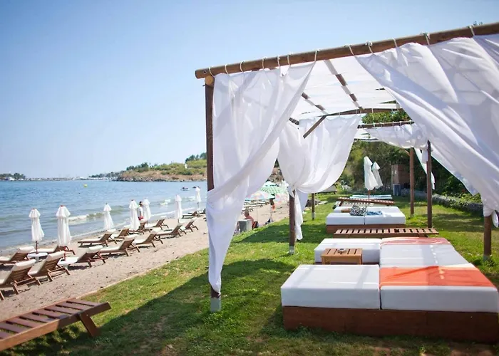 Lilia Sun Appartement *